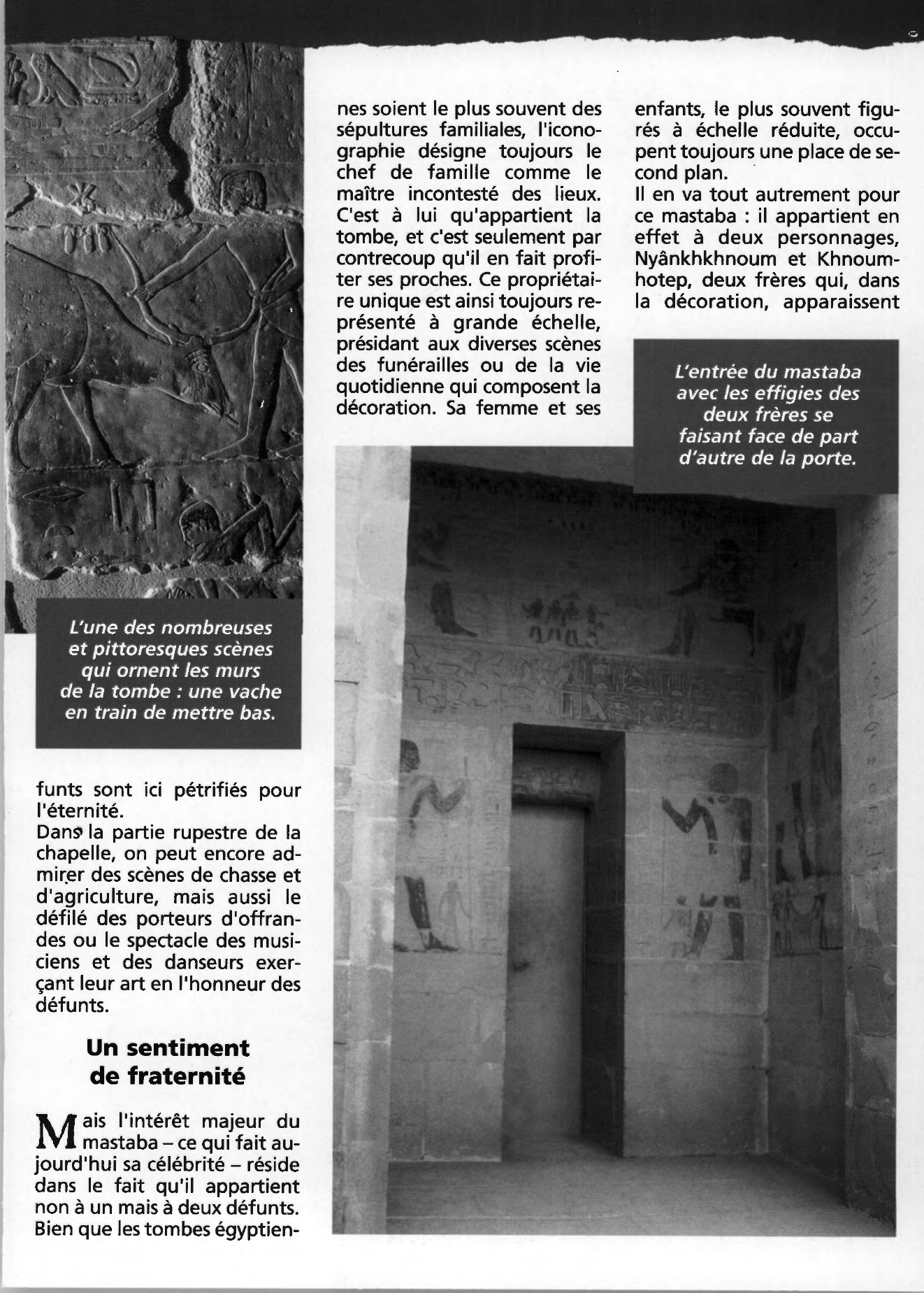 Prévisualisation du document Autour d'Ounas à Saqqarah