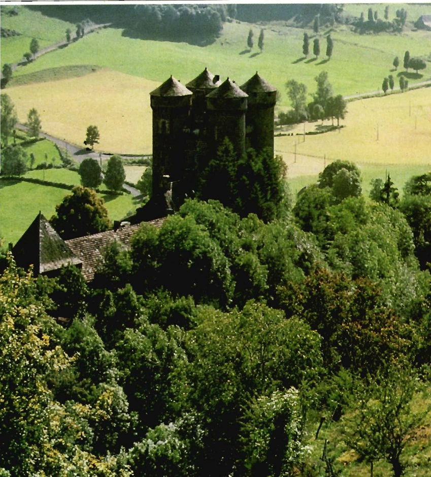 Prévisualisation du document AUVERGNE
Le château d'Anjony.