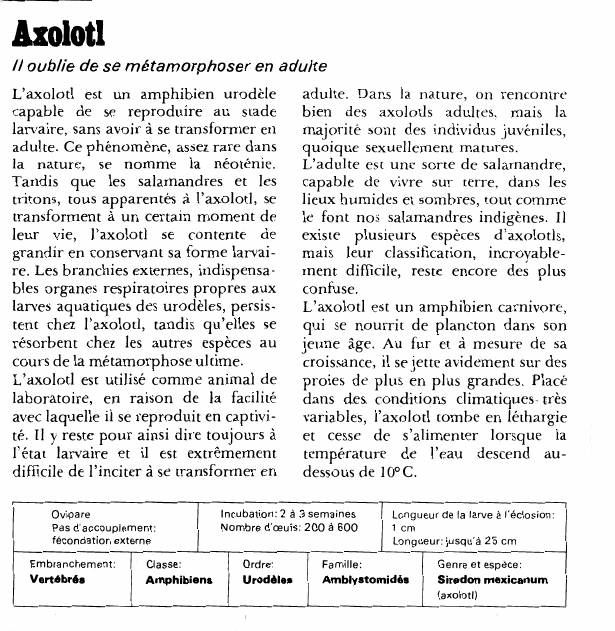 Prévisualisation du document Axolotl:Il oublie de se métamorphoser en adulte.