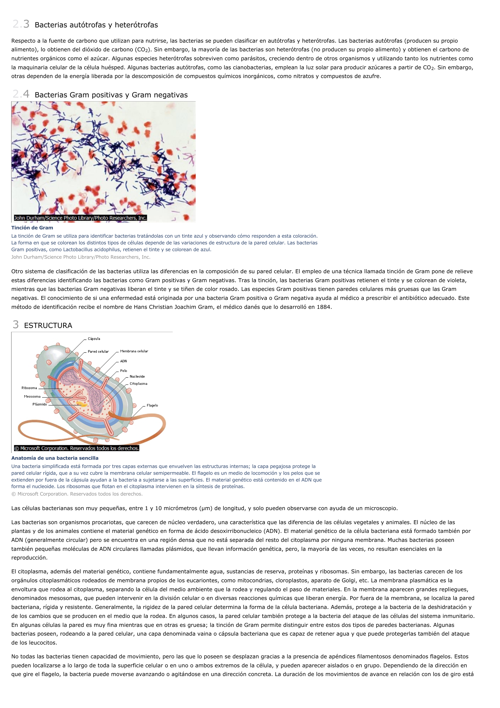 Prévisualisation du document Bacteria - ciencias de la naturaleza.