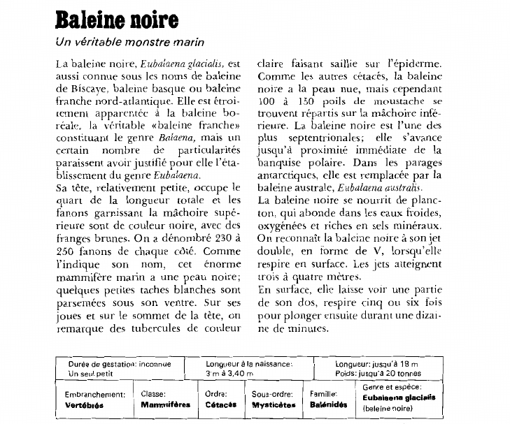 Prévisualisation du document Baleine noire:Un véritable monstre marin.