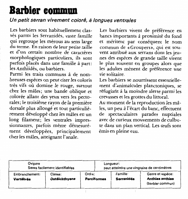 Prévisualisation du document Barbier commun: Un petit serran vivement coloré, à longues ventrales