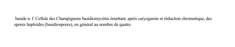 Prévisualisation du document baside n.