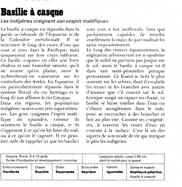 Prévisualisation du document Basilic à casque:Les indigènes craignent son «esprit maléfique».