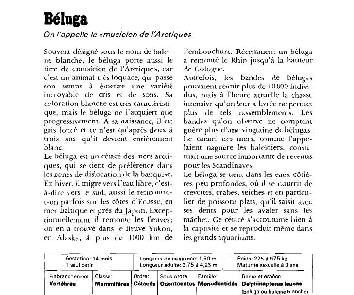 Prévisualisation du document Béluga:On l'appelle le «musicien de l'Arctique».