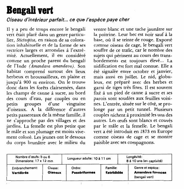 Prévisualisation du document Bengali vert:Oiseau d'intérieur parfait.