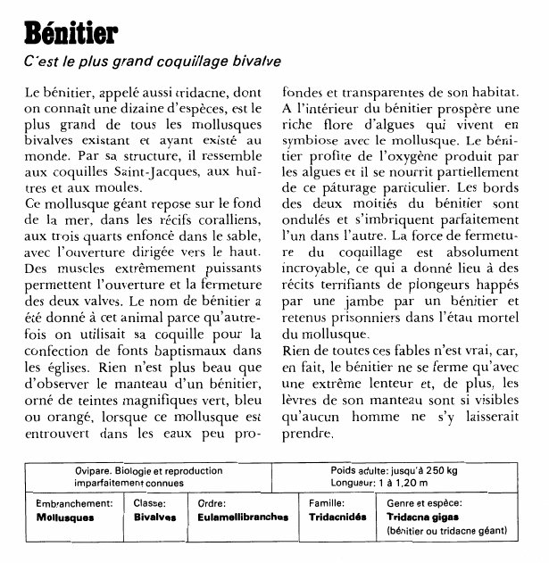 Prévisualisation du document Bénitier:C'est le plus grand coquillage bivalve.