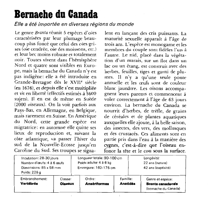Prévisualisation du document Bernache du Canada:Elle a été importée en diverses régions du monde.