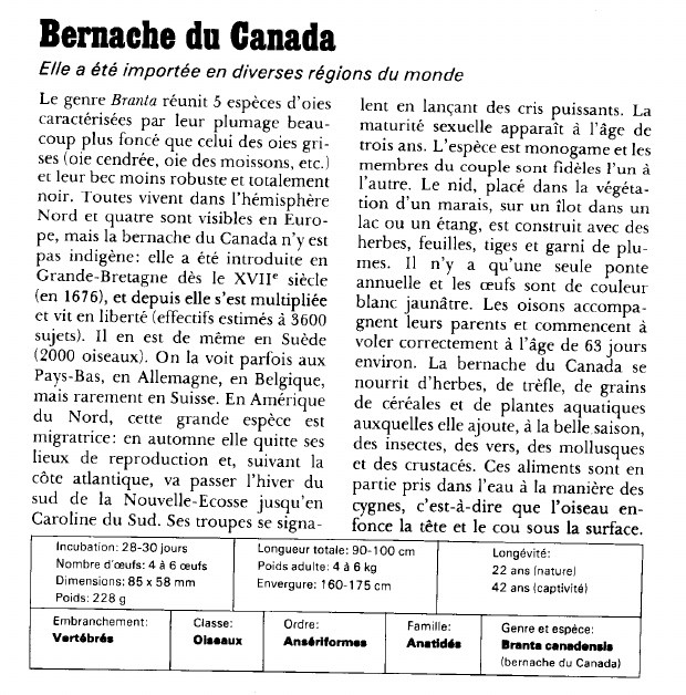 Prévisualisation du document Bernache du Canada:Elle a été importée en diverses régions du monde.