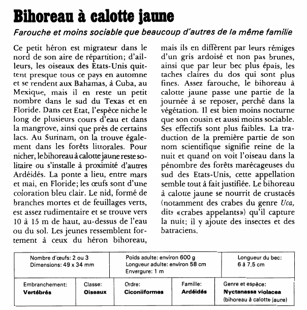 Prévisualisation du document Bihoreau à calotte jaune:Farouche et moins sociable que beaucoup d'autres de la même famille.