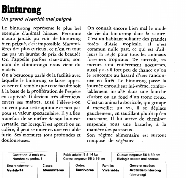 Prévisualisation du document Binturong:Un grand viverridé mal peigné.