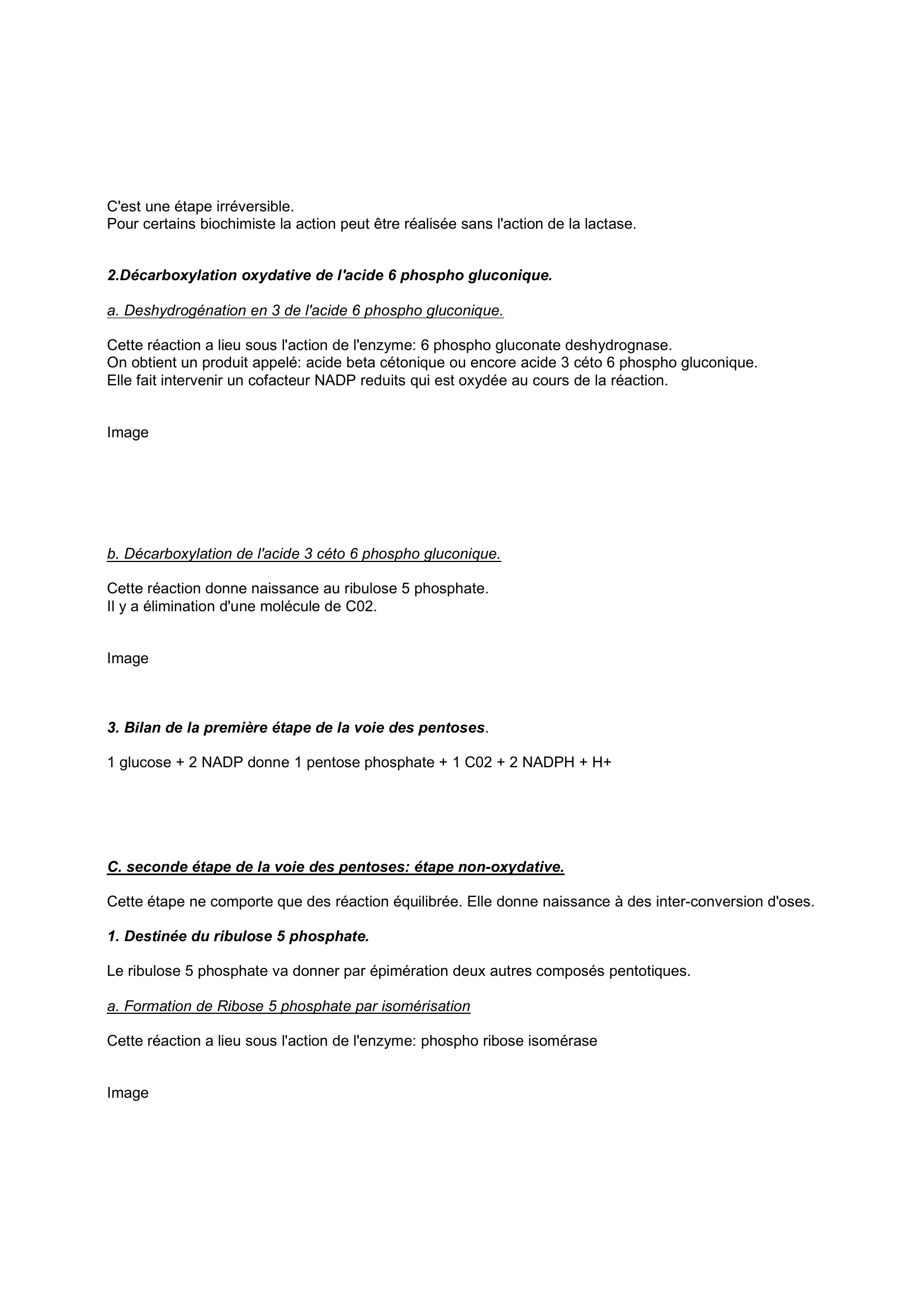 Prévisualisation du document Biochimie  La voie des pentoses