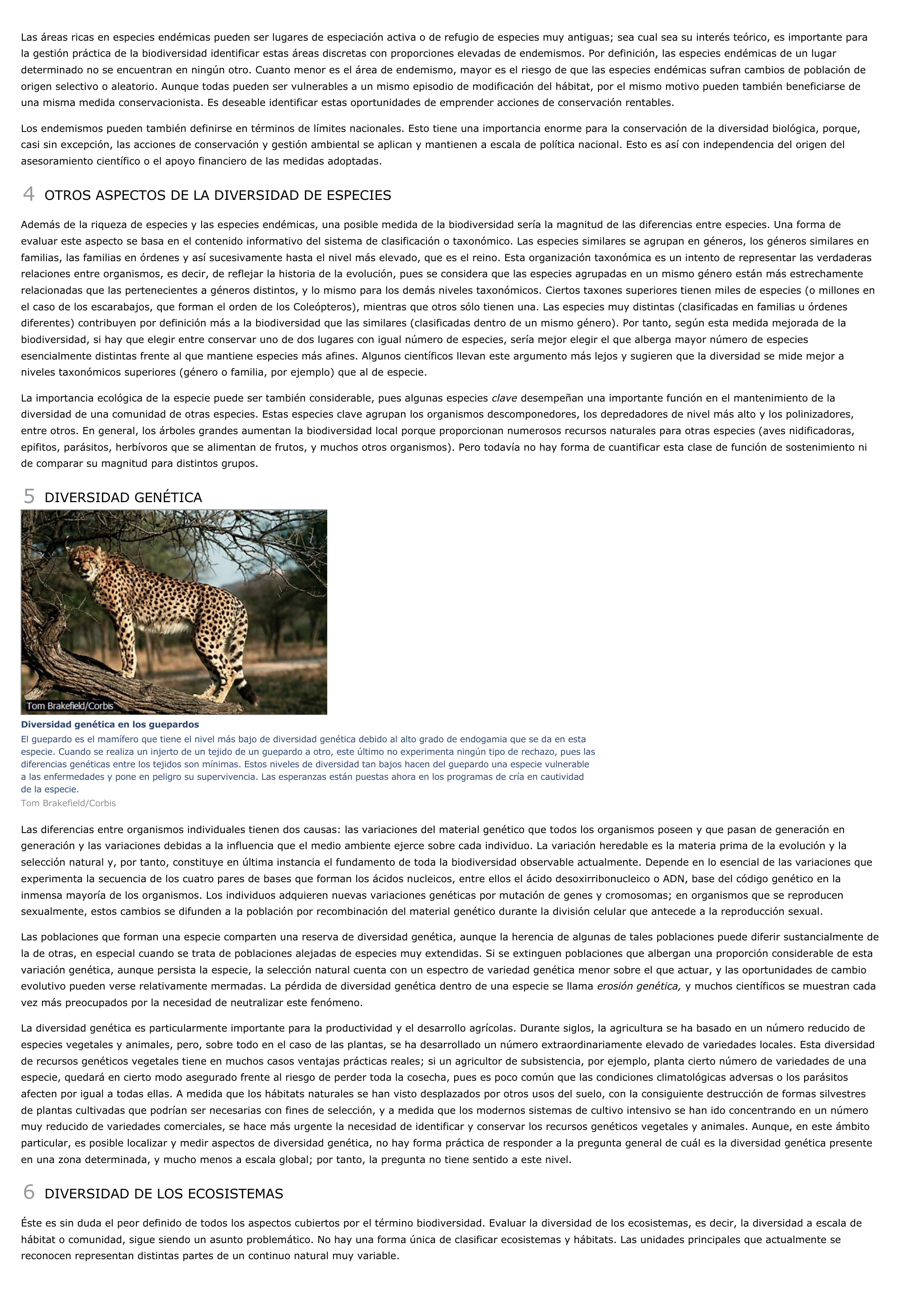 Prévisualisation du document Biodiversidad - geografía.
