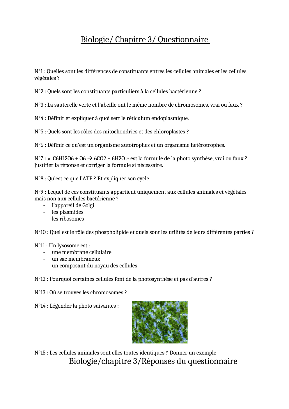 Prévisualisation du document Biologie/ Chapitre 3/ Questionnaire
