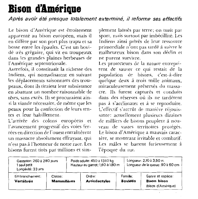 Prévisualisation du document Bison d'Amérique:Après avoir été presque totalement exterminé, il reforme ses effectifs.