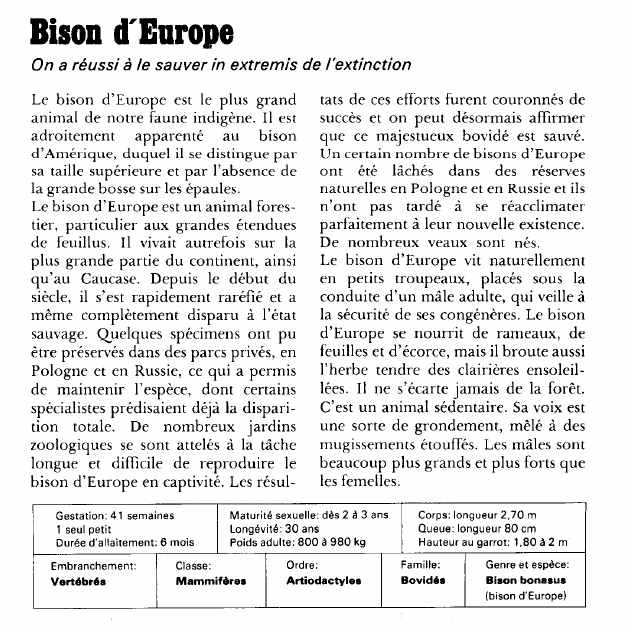 Prévisualisation du document Bison d'Europe:On a réussi à le sauver in extremis de l'extinction.