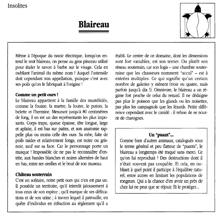 Prévisualisation du document Blaireau.