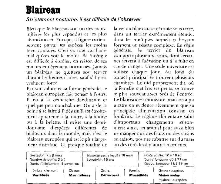 Prévisualisation du document Blaireau:Strictement nocturne, il est difficile de l'observer.