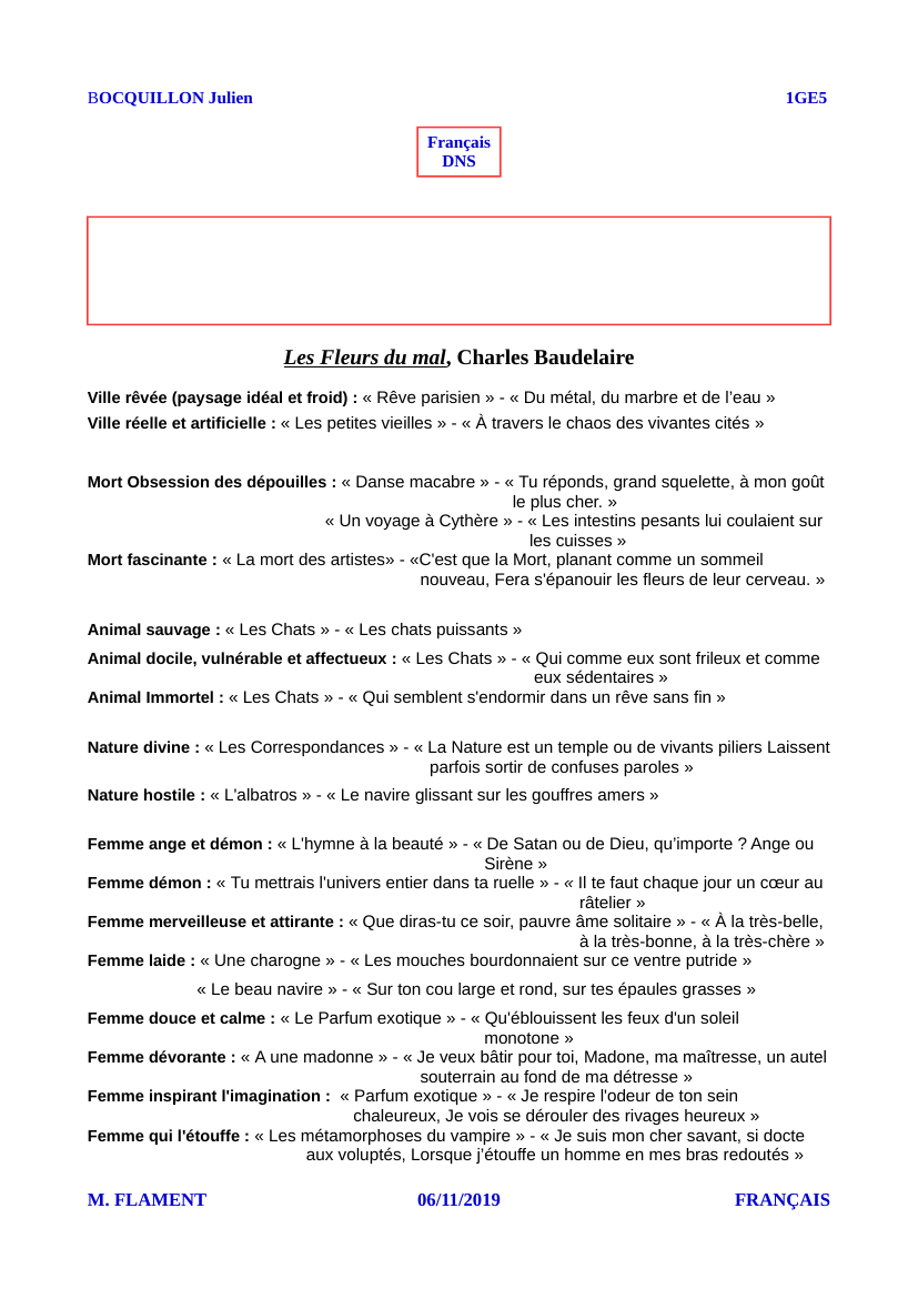 Prévisualisation du document BOCQUILLON Julien 1GE5FrançaisDNS