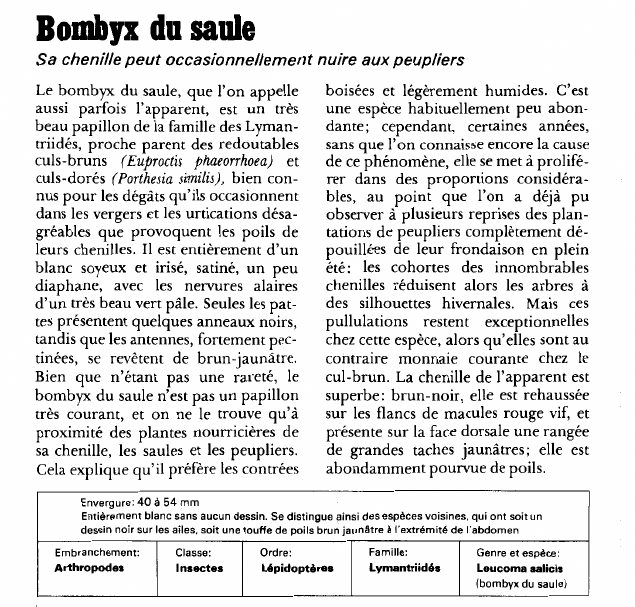 Prévisualisation du document Bombyx du saule:Sa chenille peut occasionnellement nuire aux peupliers.