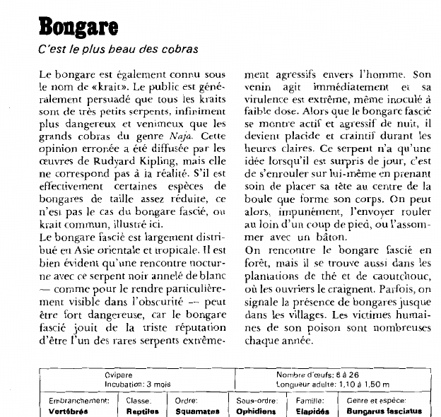 Prévisualisation du document Bongare:C'est le plus beau des cobras.