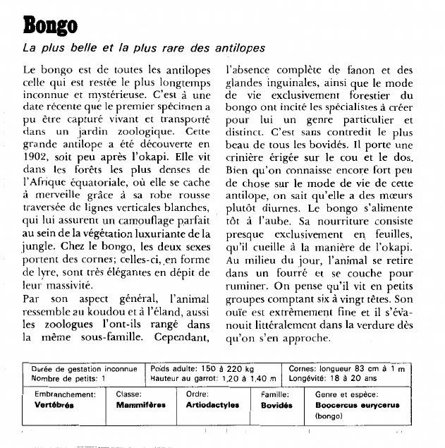 Prévisualisation du document Bongo:La plus belle et la plus rare des antilopes.
