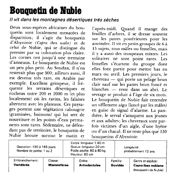 Prévisualisation du document Bouquetin de Nubie:Il vit dans les montagnes désertiques très sèches.