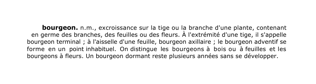 Prévisualisation du document bourgeon.