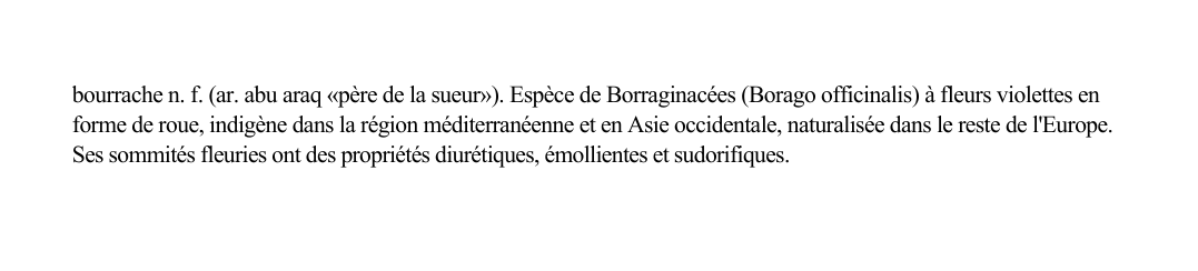 Prévisualisation du document bourrache n.