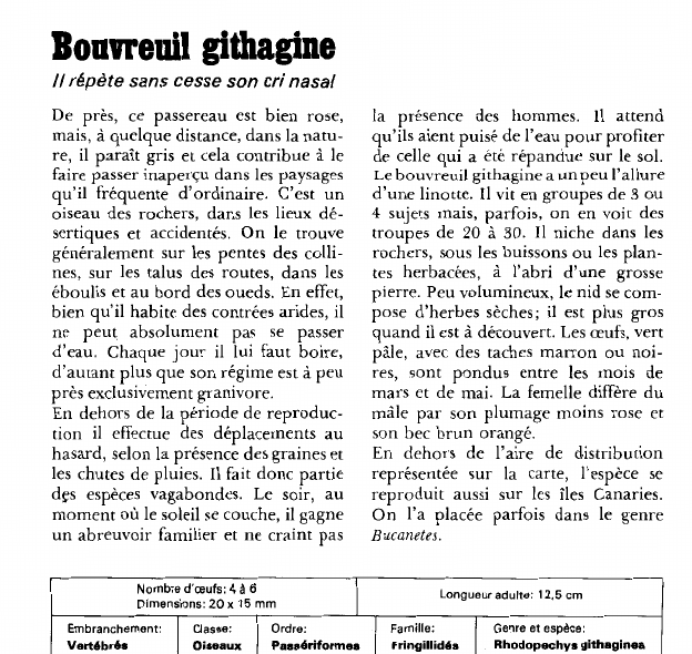 Prévisualisation du document Bouvreuil githagine:Il répète sans cesse son cri nasal.
