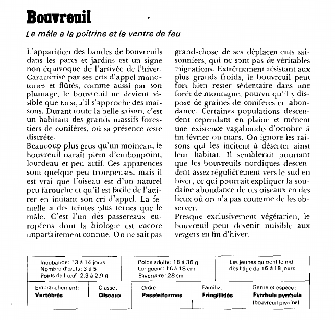 Prévisualisation du document Bouvreuil:Le mâle a la poitrine et le ventre de feu.