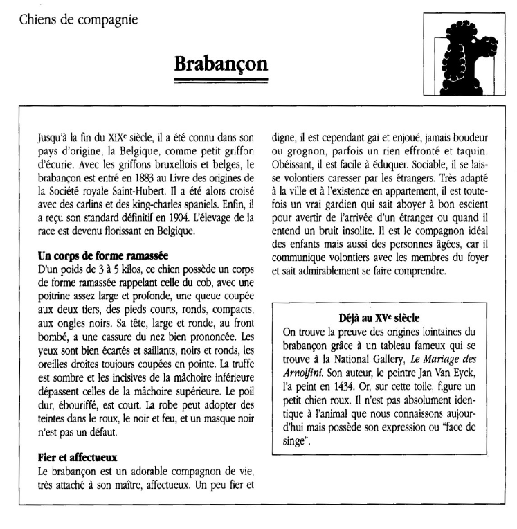 Prévisualisation du document Brabançon.