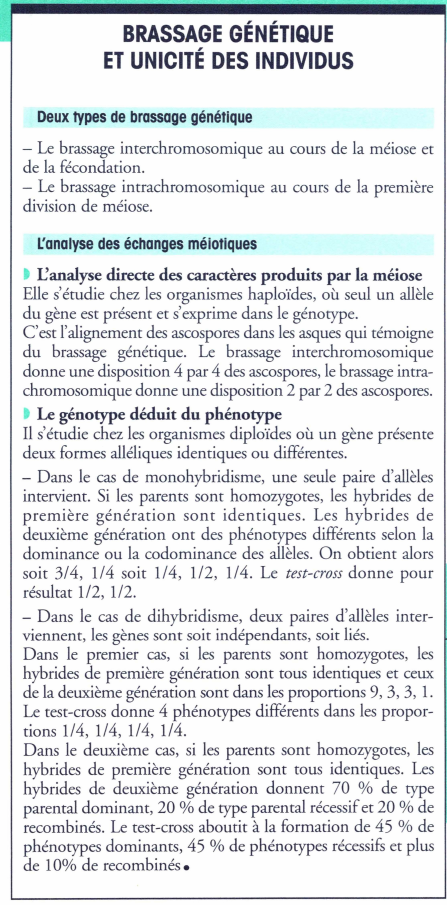 Prévisualisation du document -

BRASSAGE GÉNÉTIQUE
ET UNICITÉ DES INDIVIDUS
Deux types de brassage génétique
- Le brassage interchromosomique au cours de la...