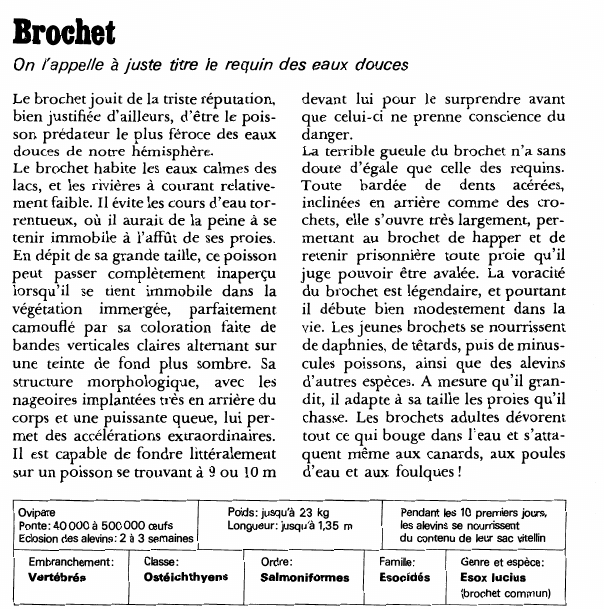 Prévisualisation du document Brochet:On l'appelle à juste titre le requin des eaux douces.
