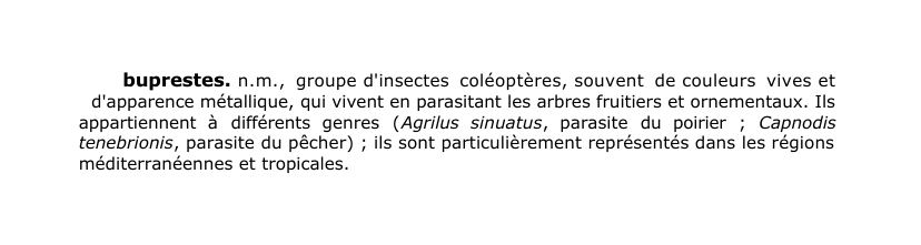 Prévisualisation du document buprestes.