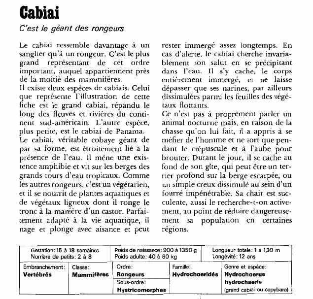 Prévisualisation du document Cabiai:C'est le géant des rongeurs.