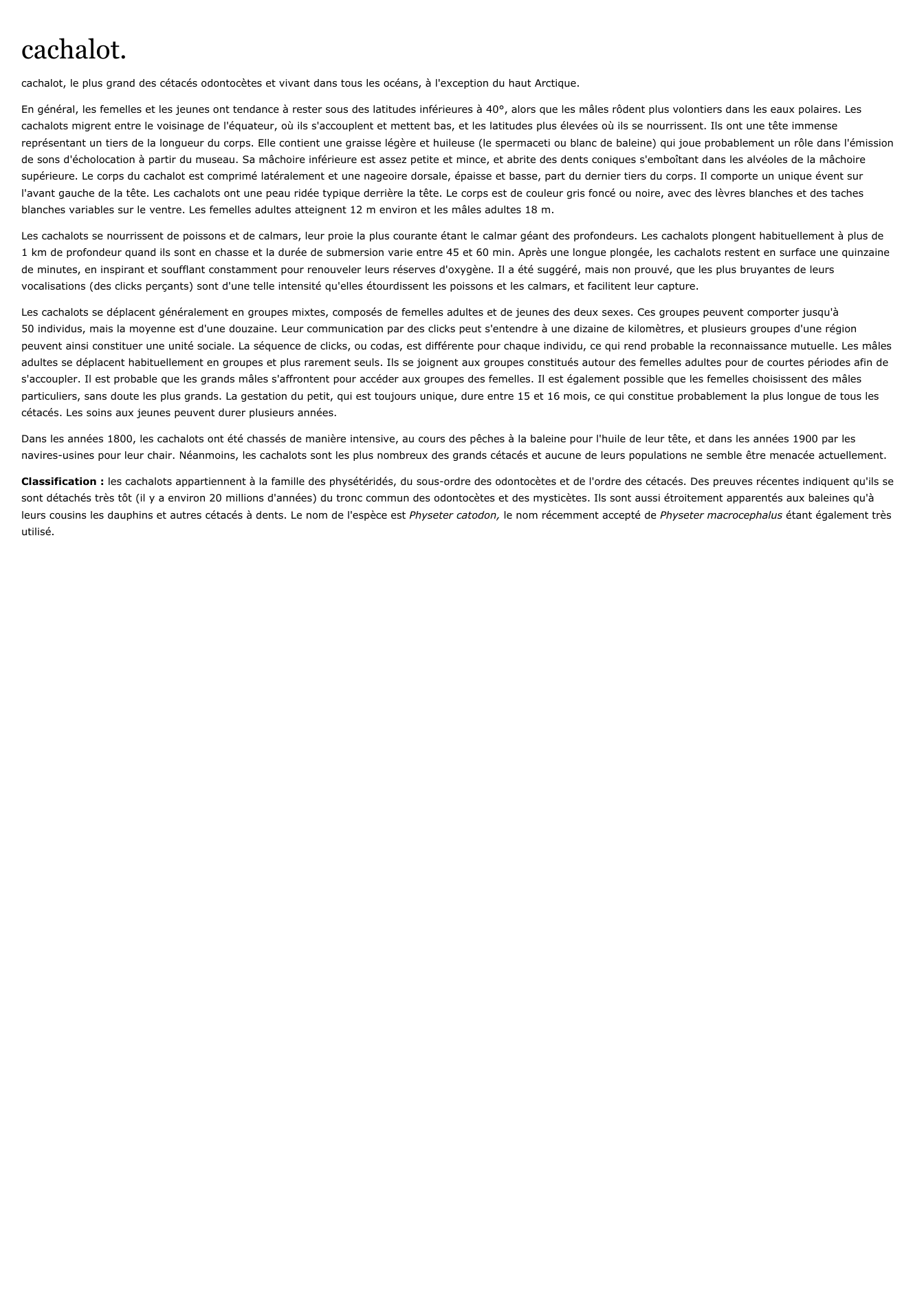 Prévisualisation du document cachalot.