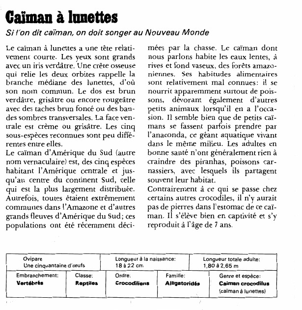 Prévisualisation du document Caïman à lunettes:Si l'on dit caïman, on doit songer au Nouveau Monde.