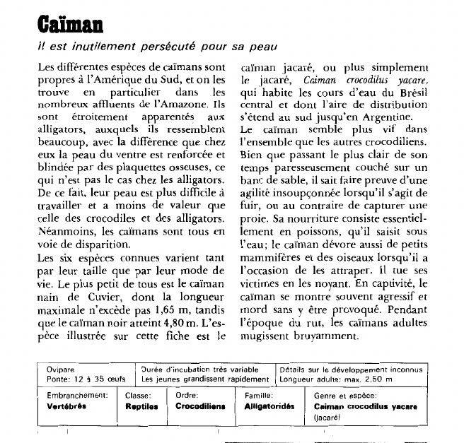 Prévisualisation du document Caïman:Il est inutilement persécuté pour sa peau.