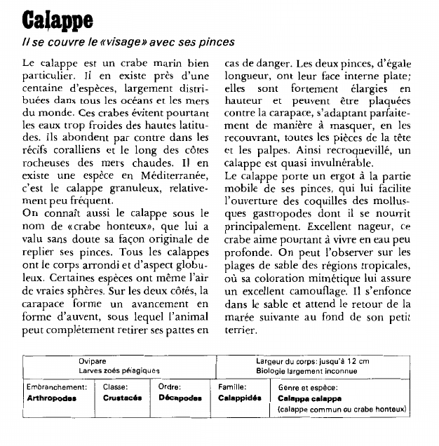 Prévisualisation du document Calappe:Il se couvre le «visage» avec ses pinces.