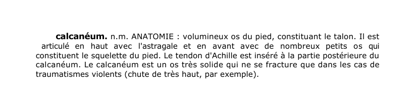 Prévisualisation du document calcanéum.