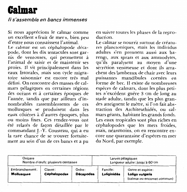 Prévisualisation du document Calmar:Il s'assemble en bancs immenses.