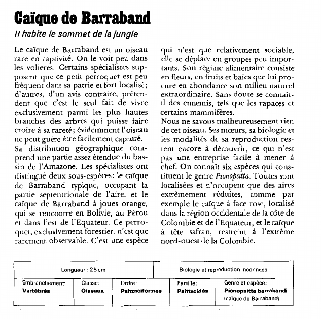 Prévisualisation du document Calque de Barraband:Il habite le sommet de la jungle.