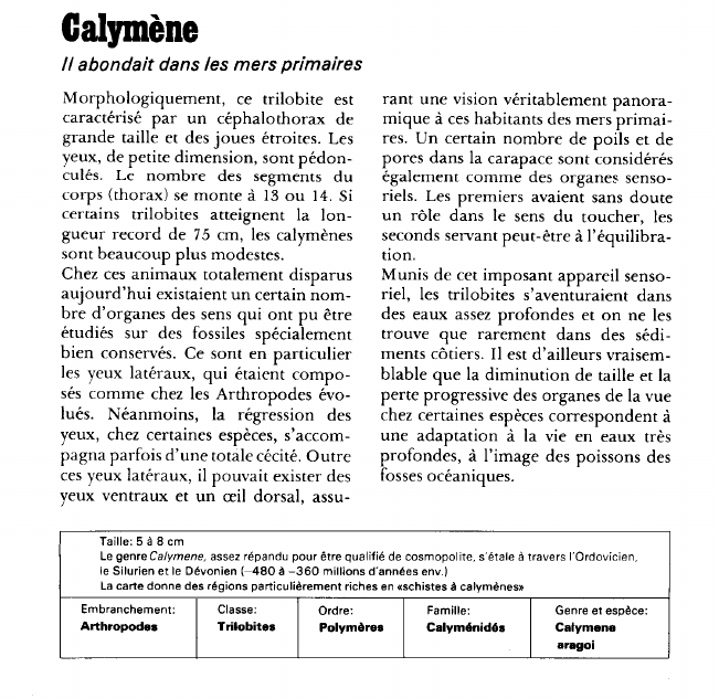 Prévisualisation du document Calymène:Il abondait dans les mers primaires.