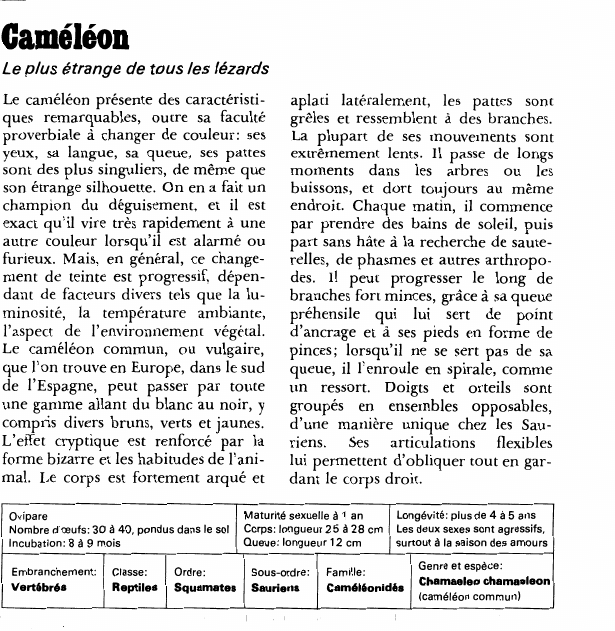 Prévisualisation du document Caméléon:Le plus étrange de tous les lézards.