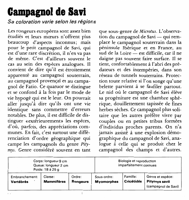 Prévisualisation du document Campagnol de SaviSa coloration varie selon les régionsLes rongeurs européens sont assez bien étudiés et leurs moeurs n'offrent plus beaucoup d'aspects inconnus; mais pour le petit campagnol de Savi, qui est d'une rare discrétion, il n'en va pas de même.