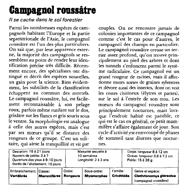 Prévisualisation du document Campagnol roussâtre:Il se cache dans le sol forestier.