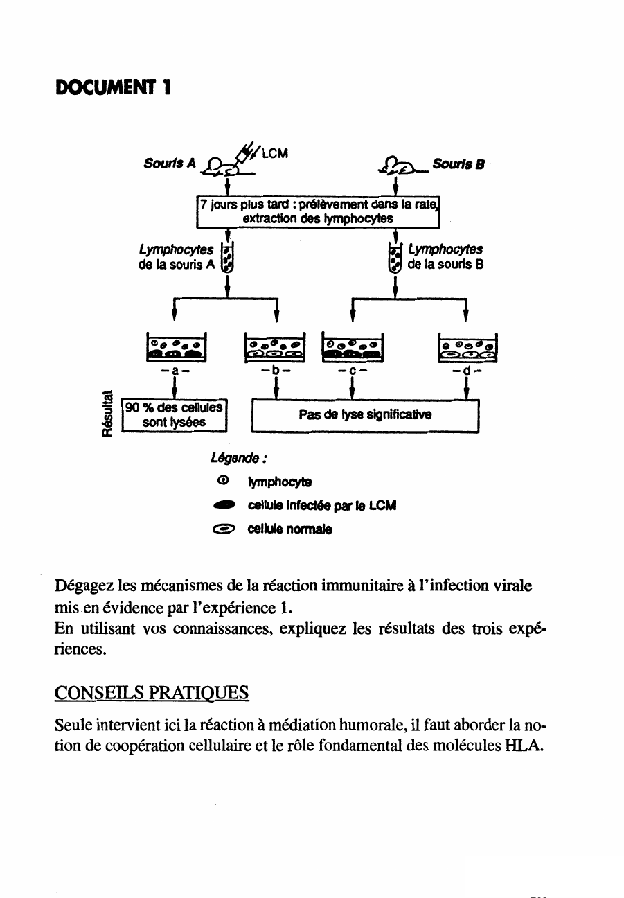 Prévisualisation du document Caractéristiques de la réponse à médiation cellulaire