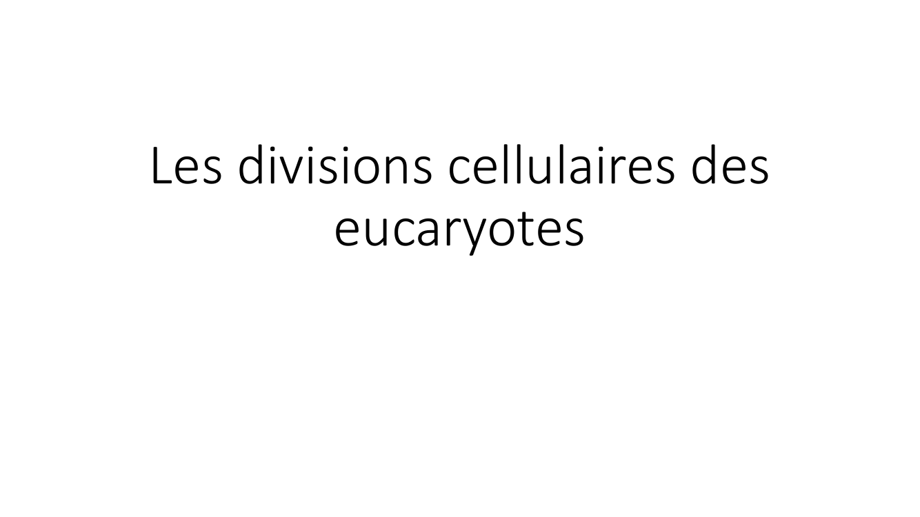 Prévisualisation du document Caryotype et divisions cellulaires