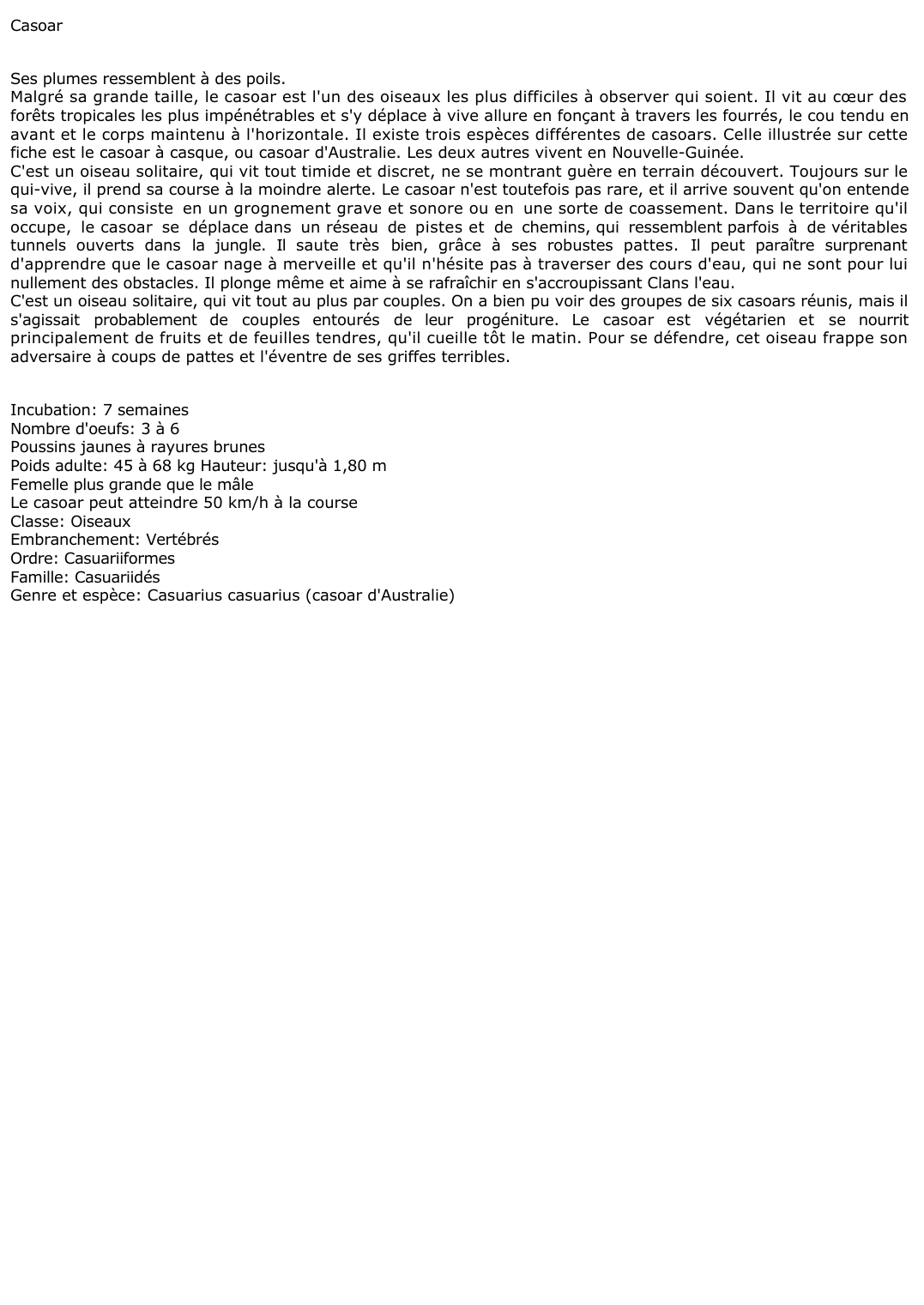 Prévisualisation du document Casoar